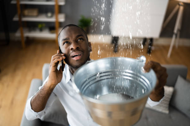 Best Local water damage restoration  in Rossville, IN