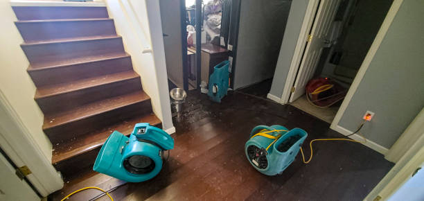 Best Flood restoration services  in Rossville, IN