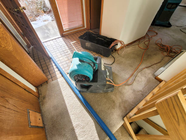 Best 24/7 water damage repair  in Rossville, IN