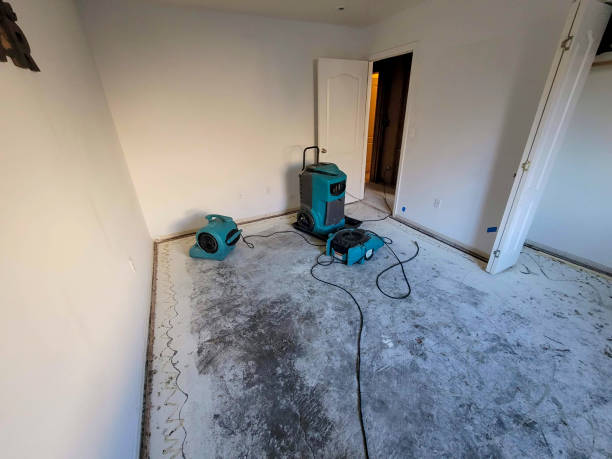 Best Water damage restoration cost  in Rossville, IN