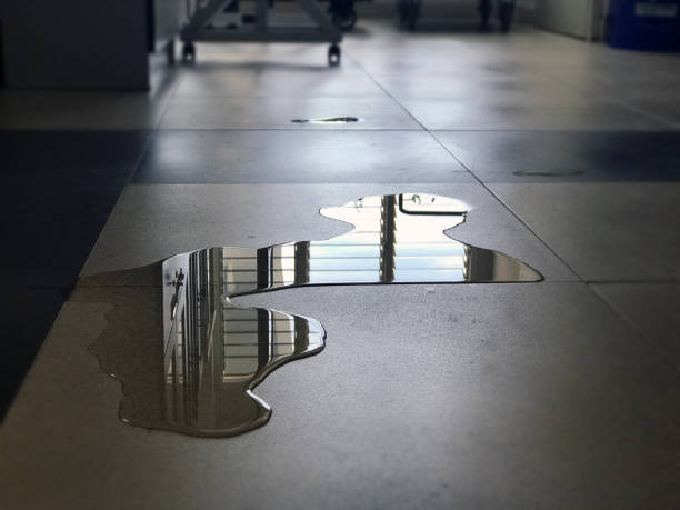 Water damage restoration experts in Rossville, IN