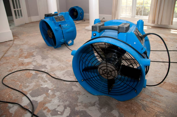 Best Water damage restoration services  in Rossville, IN