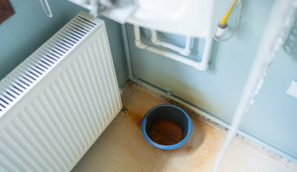 Best Water damage restoration near me  in Rossville, IN