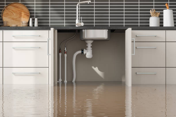 Sewage cleanup and water damage restoration in Rossville, IN